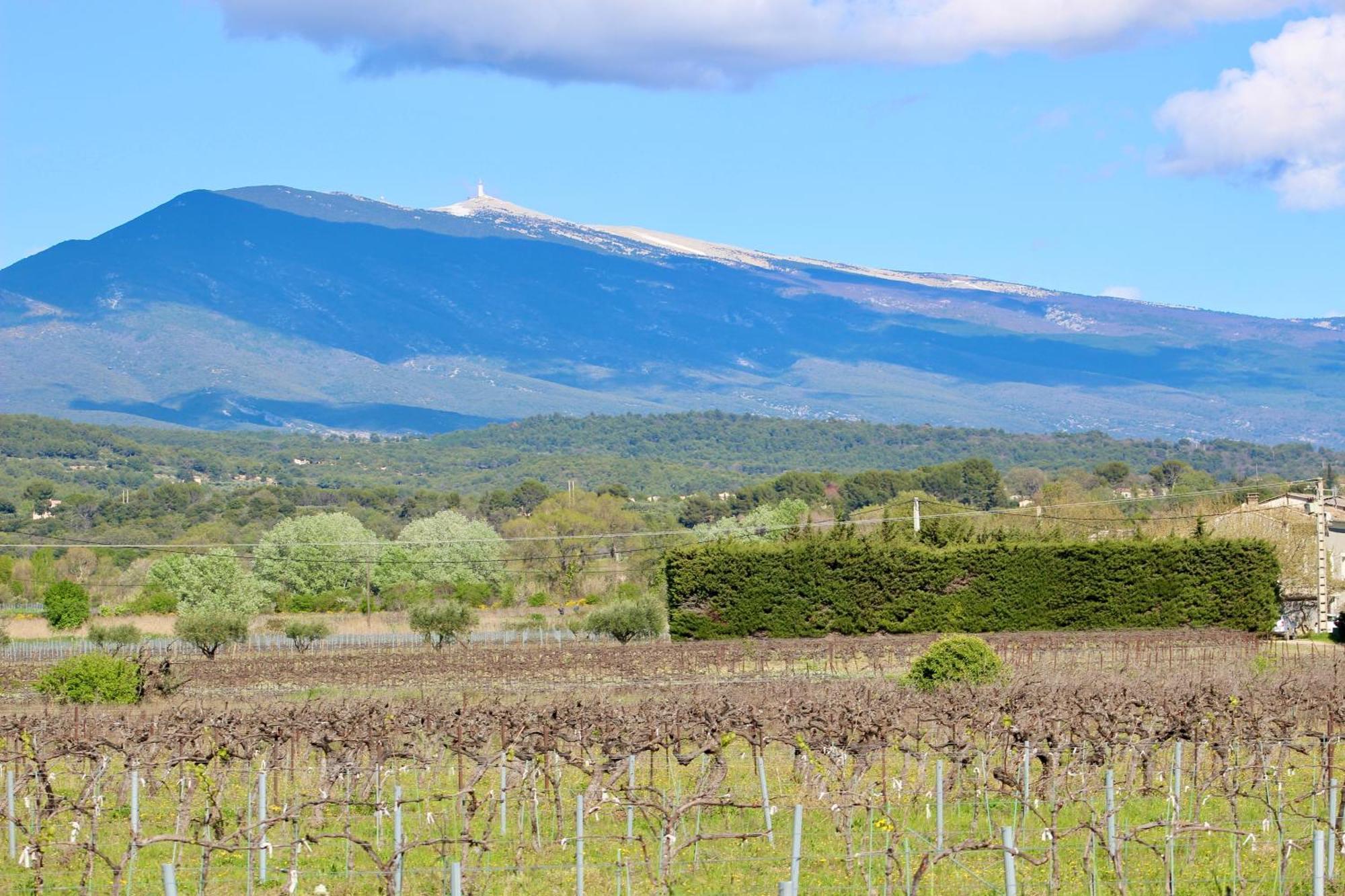 Villa Nova Ventoux Malaucène Exterior foto